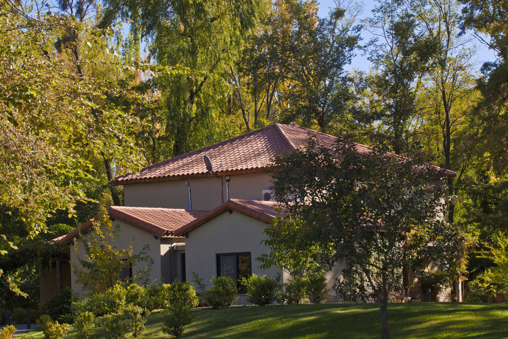 Posada Salentein Los Árboles Habitación foto